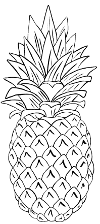 A pineapple